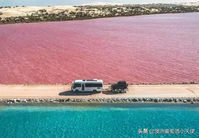 寻找澳洲最美风景，你心目中的“锦鲤”是 _____？