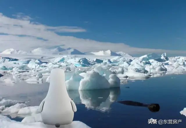 「贝贝」碧桂园森林城市这次来了位有故事的“大网红”！
