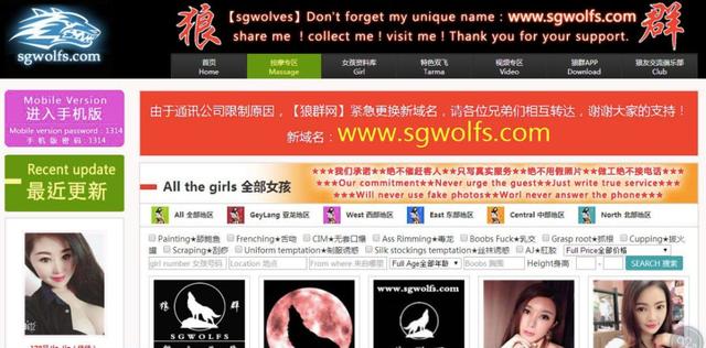 新加坡狼群网彻底瓦解，全靠中国公安协助