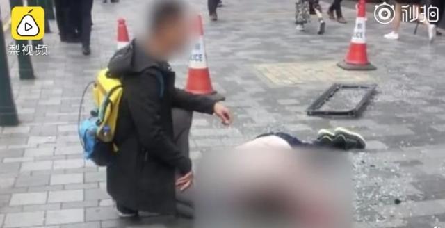 一条黄狗从天而降，毁灭了一个家庭！这样的新闻让多少中国人细思极恐？