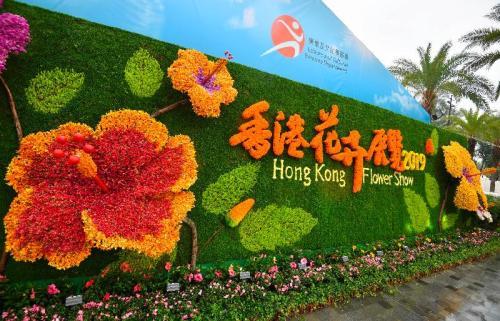 香港花卉展维园揭幕 花坛以许愿池为灵感打造
