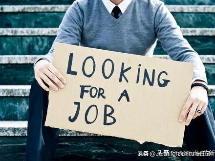 本科毕业即失业，考研又太难？这篇文章适合所有的毕业党看一看！
