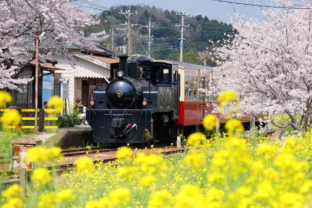 春天最佳旅行地，清明、五一、端午小长假走起