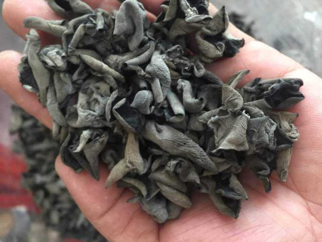 湖北房县黑木耳，你知道的有多少？