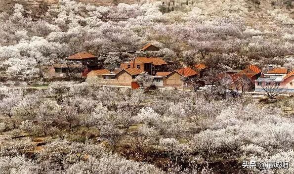 【城阳村落】棉花村，中国最美休闲乡村，三标山远近有名