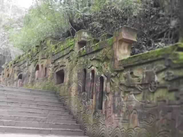 好嗨哟！山西阳泉代表团在四川蒙顶山这样茶旅游学