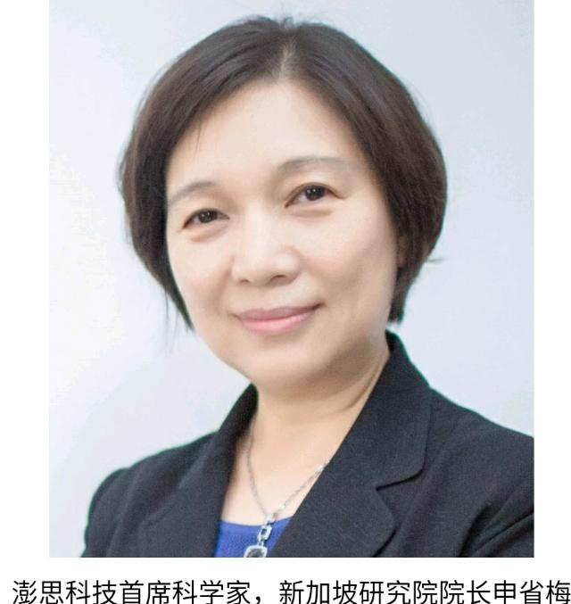 人工智能新锐公司澎思科技立新加坡研究院主攻人工智能和深度学习
