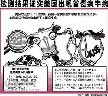 人畜共传的疯牛病致8人死亡，使英国每年损失掉40亿英镑，可悲!