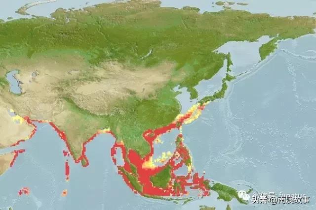 全球总18种马鲛鱼，它们分布在这全球这些海域上