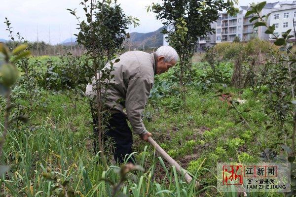 2硕士2博士！浙江一农民家庭把4个孩子全培养成学霸