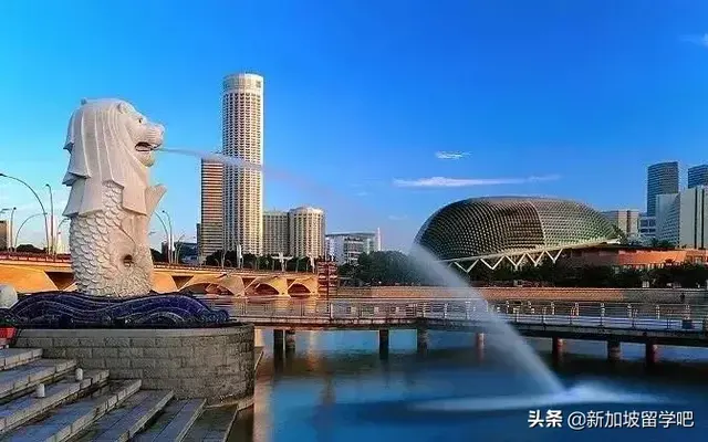 新加坡大学易就业的专业的院校选择有哪些？