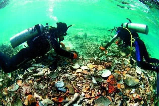 听说当地沉过船，老外大胆下海寻宝，捞起6万件中国文物一夜暴富