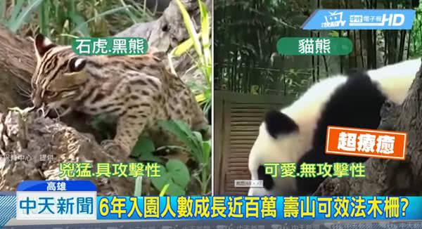不满“捧韩捧熊猫”？台大学生竟想禁播电视台