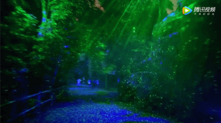 幻光雨林 | 沉浸在“阿凡达”的光影星球之中！