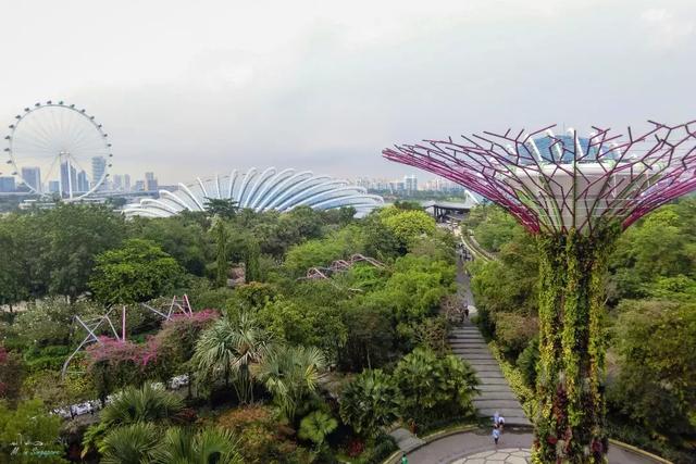 滨海湾花园，新加坡最新地标，一个浪漫到腻的地方