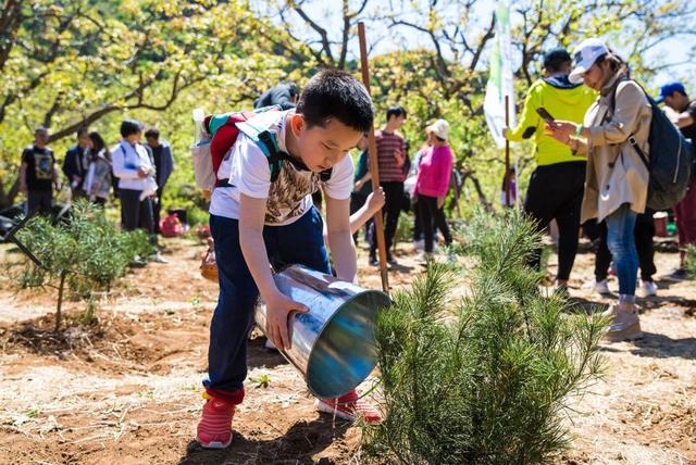 赏花、植树、亲子游....这里浓缩了整个春天最极致的美！