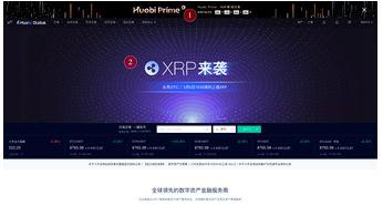 TOP Network一夜爆红，你想了解的10大信息全在这