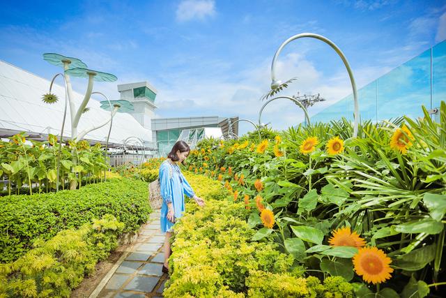 不愧为国际花园城市，连机场都是花园密布，别错过了这些亮点！