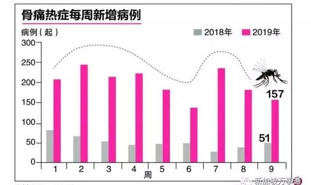 新加坡多个地方成伊蚊重灾区！今年已有2人丧命，比去年同期增3倍