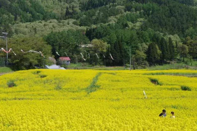 春天最佳旅行地，清明、五一、端午小长假走起