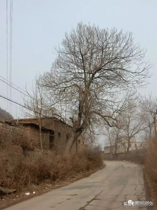 走进雷家沟 看铜川铝厂的变化