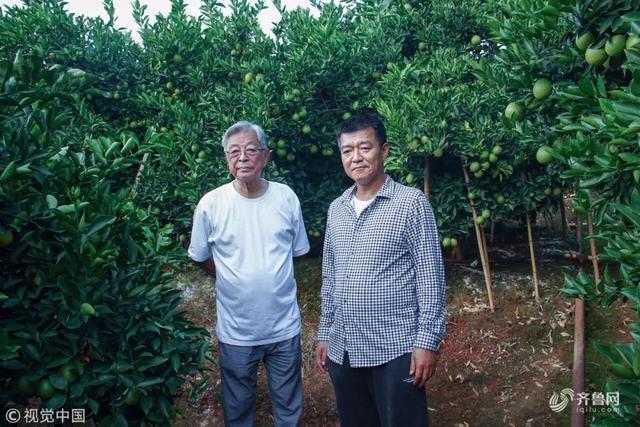 从“烟王”到“橙王”！他73岁再创业！告诫年轻人要适应“慢富”