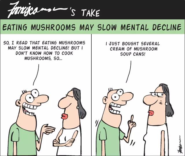 菇凉，漂亮！聊聊神奇食物蘑菇和健康脑老化 | 封磊专栏