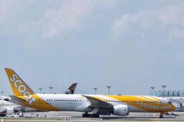 台北飞新加坡酷航航班因轻微震动折返 机型为空客