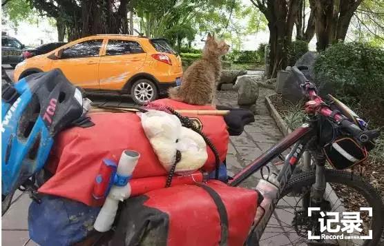 一个人，一辆单车，一只猫，9000公里，跨越6个国家，致敬。