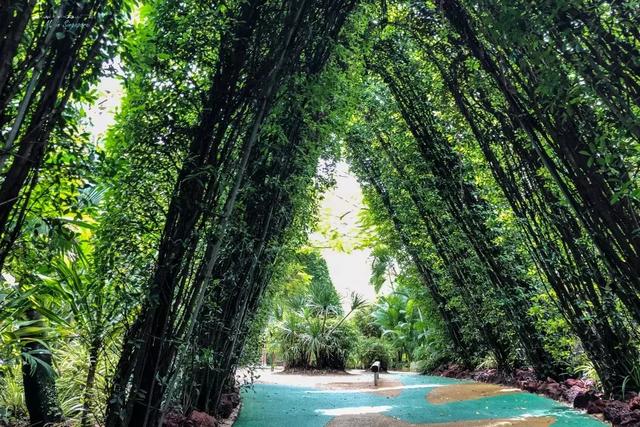 滨海湾花园，新加坡最新地标，一个浪漫到腻的地方