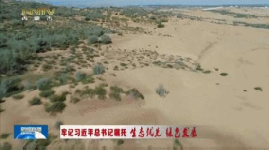 库布其荒漠化防治为世界树立典范 利用无人机快速植树