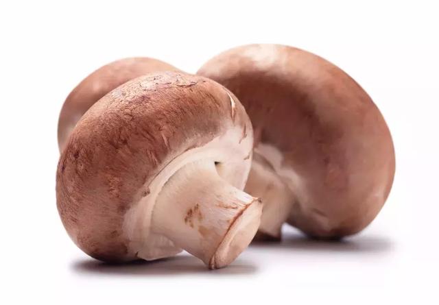 科学发现：每周食用蘑菇不低于这个数，大脑衰退风险降低50%！