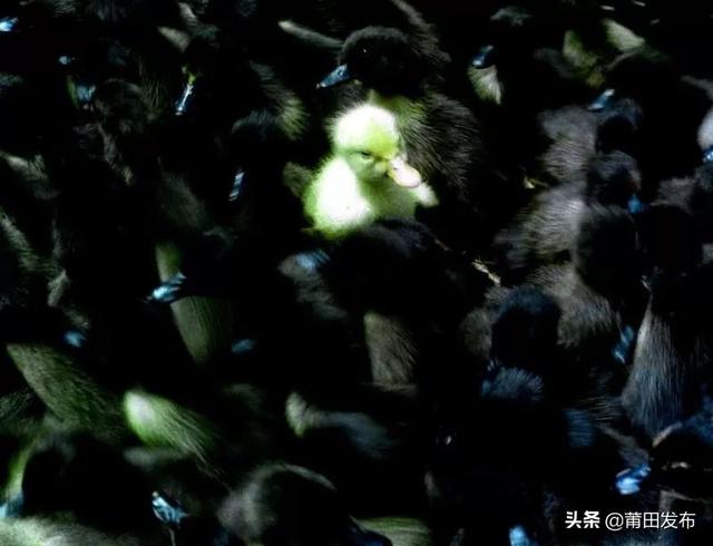 美图来袭！马金焰摄影展播①