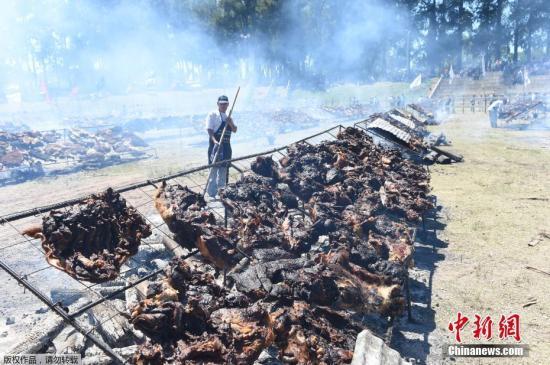 研究：以其他蛋白质来源替代牛肉 能促温室气体减排