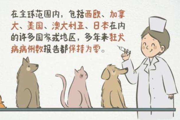 我在国外被狗咬伤，医生竟然拒绝为我打狂犬疫苗？