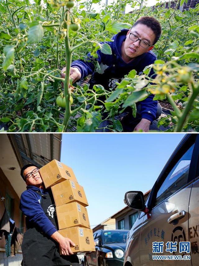 雁归乡，兴故乡