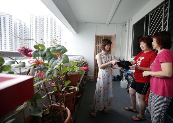 开年至今每周约一两百起 新加坡骨痛热症病例比去年同期多三倍