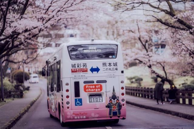日本也将迎来电子签证时代，有必要提前了解一下飞猪这个功能了