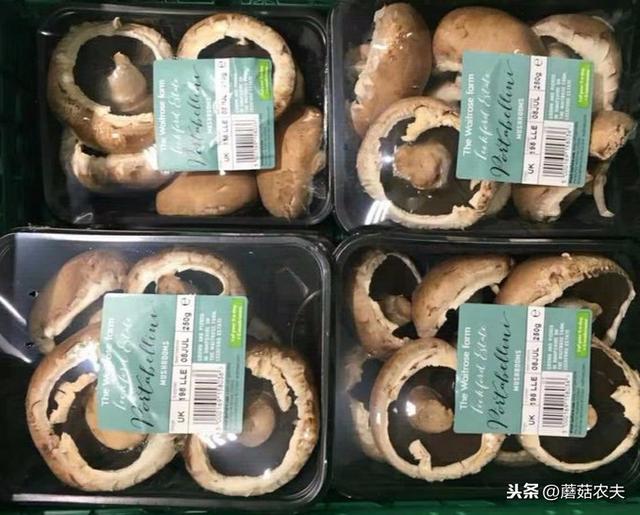 高端食用菌牛排菇异军突起 营销创新引领市场