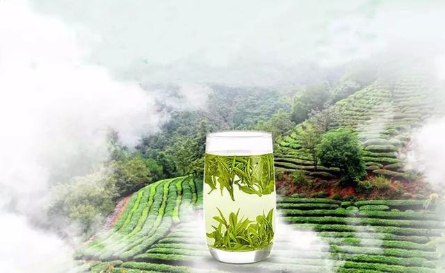 有茶的春天才完美！请收好这份黄山春茶地图！
