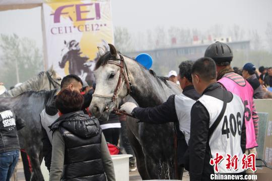 中国选手摘得第五届中国砀山国际马术耐力赛二星级比赛桂冠