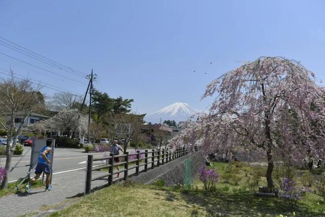 以马拉松解锁富士山，四条路线看见不同的美！