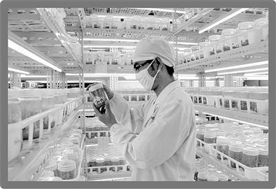 在“动植物天堂”孵出生物科技大产业