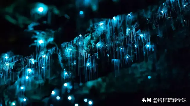 全球最美萤火虫观赏地，中国就有四个！