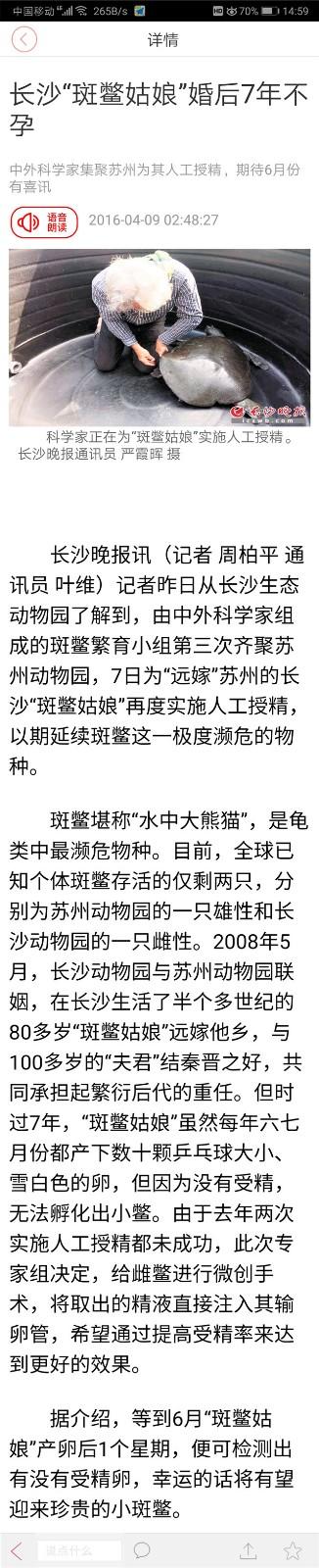 从长沙“远嫁”苏州11年 中国唯一雌性斑鳖人工授精后去世