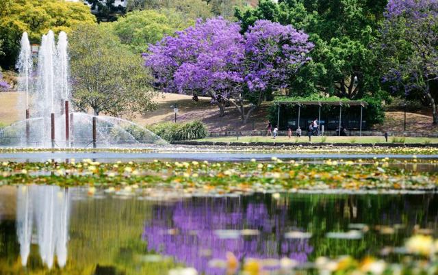 谁才是澳洲最美校园？