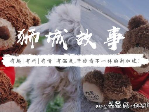 真爱！身在新加坡的中国情侣悬赏3000新币！寻找丢失的玩偶熊