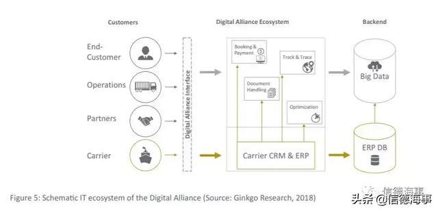 海运公司如何数字化？