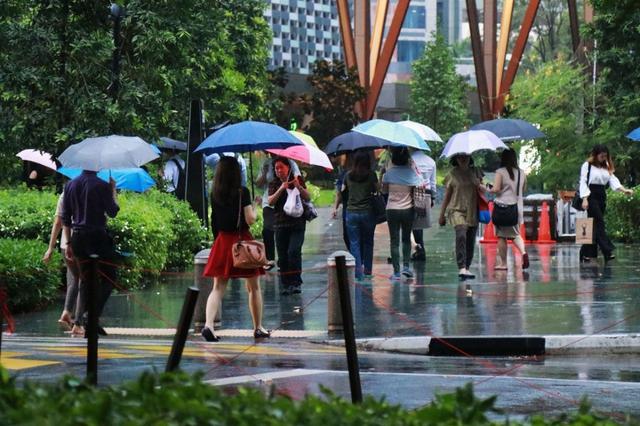 处于季候风交替期的新加坡，接下来两周将伴随着频繁的……