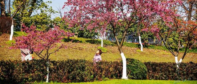 最新通知！“五一”假期高速免费！还有一大波好消息：景区半价、机票特价…